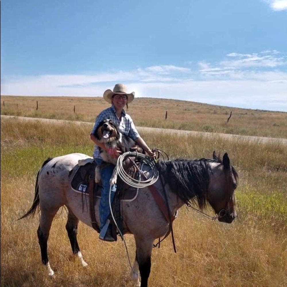 Meet your Posher, Lacey